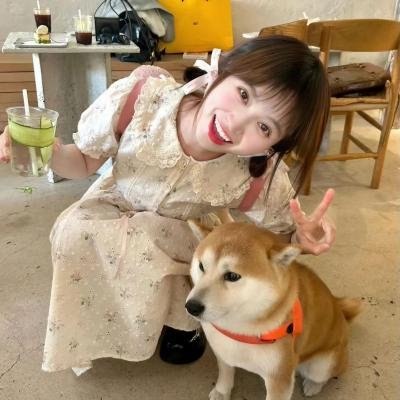 我的非凡父母